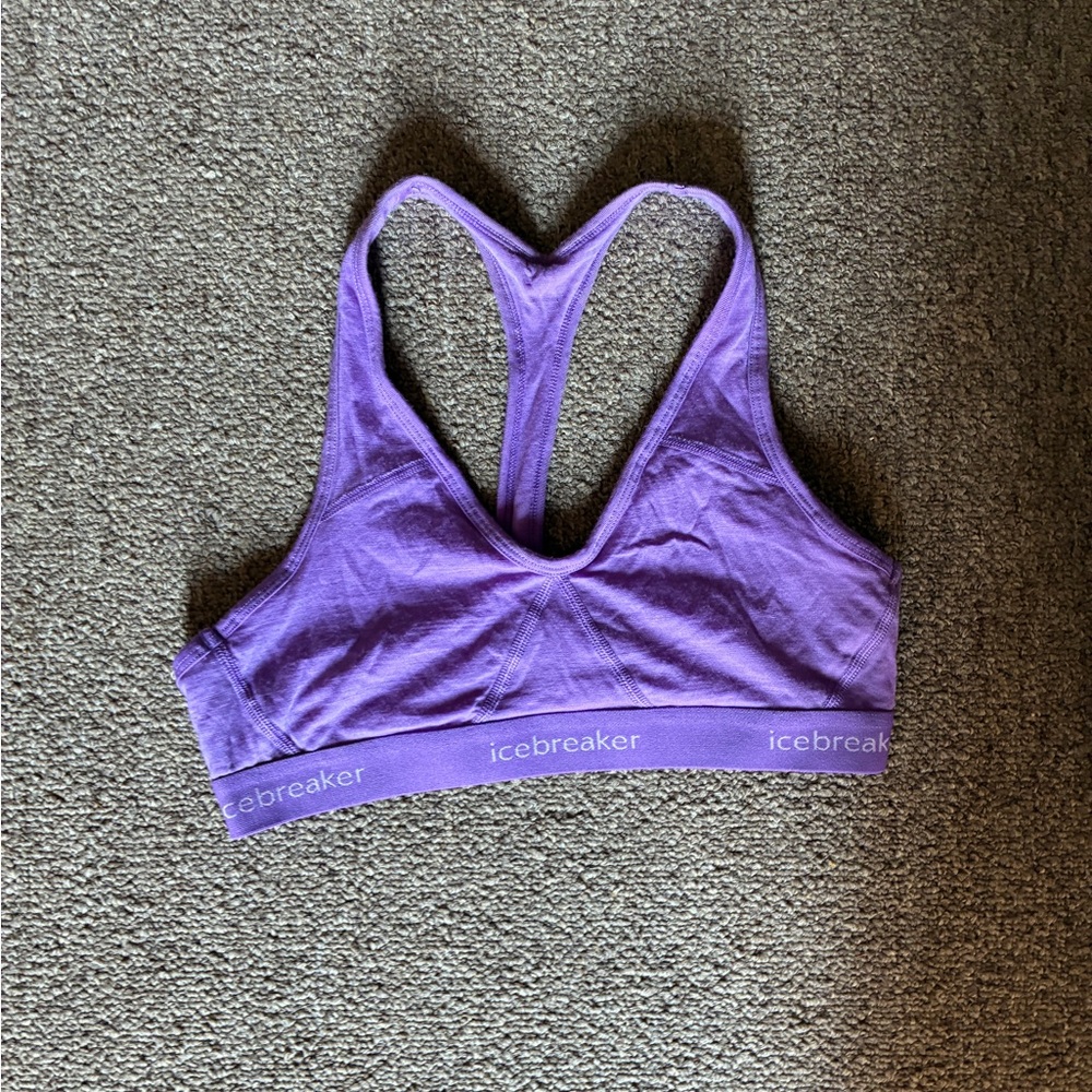 Icebreaker Women's Sports Bra